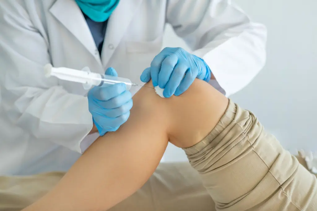 Articolazioni e tendini